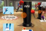 Wii Fit (Wii)