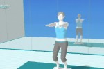 Wii Fit (Wii)