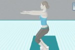 Wii Fit (Wii)