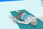 Wii Fit (Wii)