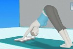 Wii Fit (Wii)