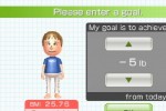 Wii Fit (Wii)