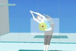 Wii Fit (Wii)