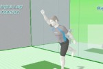 Wii Fit (Wii)