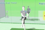 Wii Fit (Wii)