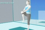 Wii Fit (Wii)