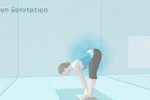 Wii Fit (Wii)
