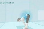 Wii Fit (Wii)