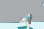 Wii Fit (Wii)