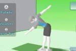 Wii Fit (Wii)