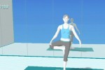 Wii Fit (Wii)