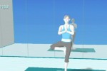 Wii Fit (Wii)