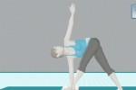 Wii Fit (Wii)