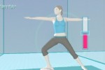 Wii Fit (Wii)