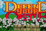 Defend Your Castle (Wii)