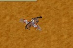My Riding Stables (DS)