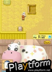 Harvest Moon DS Cute (DS)