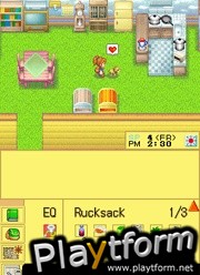 Harvest Moon DS Cute (DS)