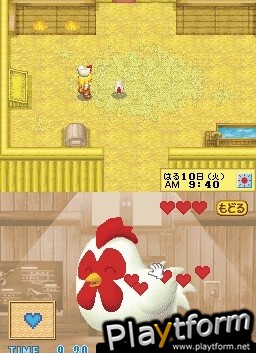 Harvest Moon DS Cute (DS)