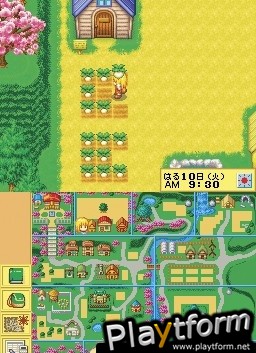 Harvest Moon DS Cute (DS)