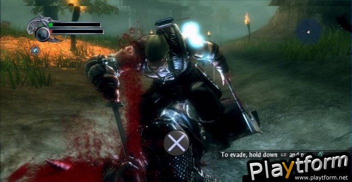 Viking: Battle for Asgard (PlayStation 3)