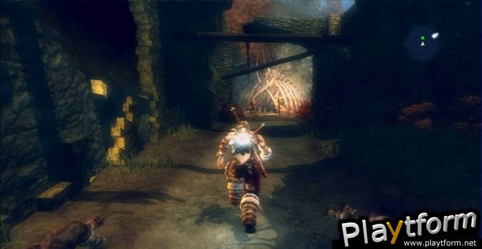 Viking: Battle for Asgard (PlayStation 3)