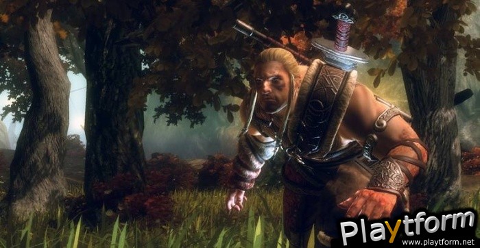 Viking: Battle for Asgard (Xbox 360)