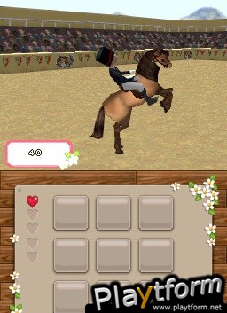 Championship Pony (DS)