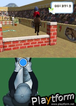 Championship Pony (DS)