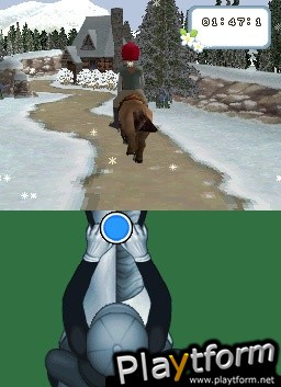 Championship Pony (DS)