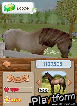 Championship Pony (DS)