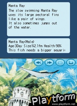 Fantasy Aquarium (DS)
