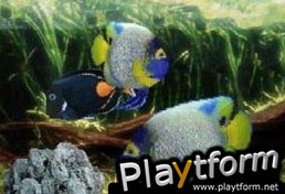 Aquarium by DS (DS)