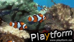 Aquarium by DS (DS)