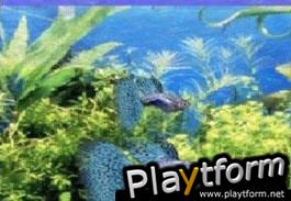 Aquarium by DS (DS)