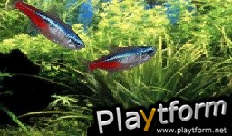 Aquarium by DS (DS)