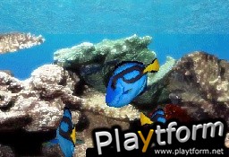 Aquarium by DS (DS)