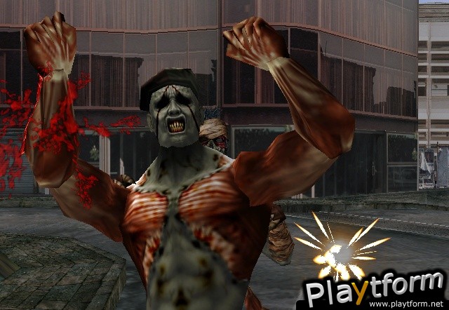 The House of the Dead 2 & 3 Return (Wii)