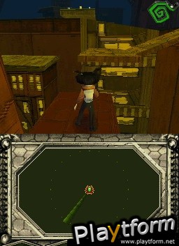 Insecticide (DS)