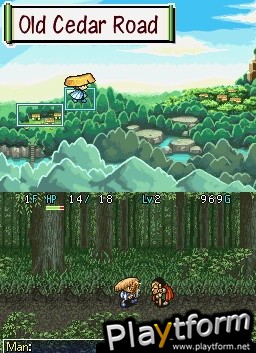 Mystery Dungeon: Shiren the Wanderer (DS)