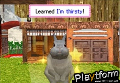 Petz Bunnyz (DS)