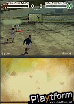 FIFA Street 3 (DS)