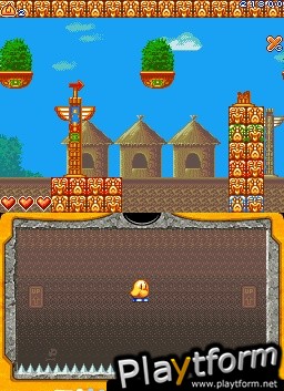 New Zealand Story Revolution (DS)