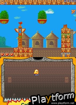 New Zealand Story Revolution (DS)