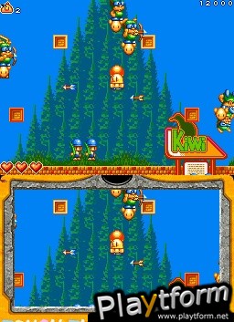 New Zealand Story Revolution (DS)