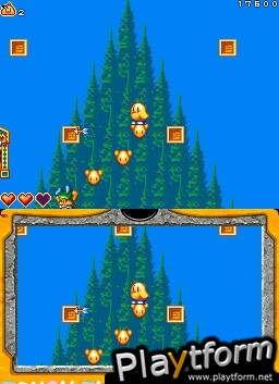 New Zealand Story Revolution (DS)