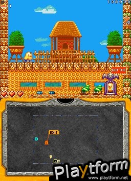 New Zealand Story Revolution (DS)