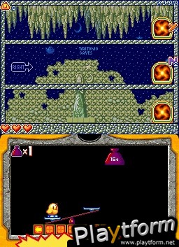 New Zealand Story Revolution (DS)