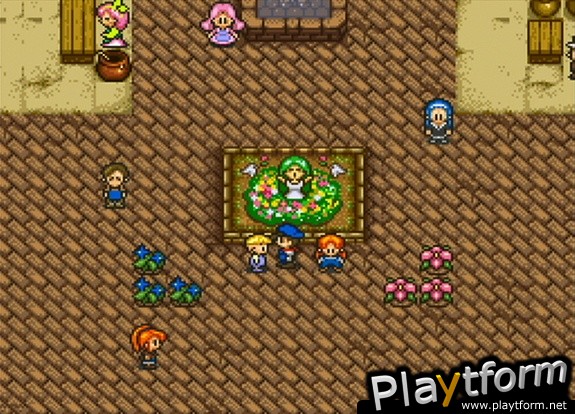 Harvest Moon (Wii)