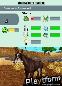 Zoo Tycoon 2 DS (DS)